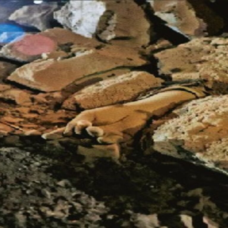 उरला की फैक्ट्री में हादसा:फैक्ट्री में नाबालिग बदल रहा था लीक सिलेंडर, धमाके में तीन मौतें