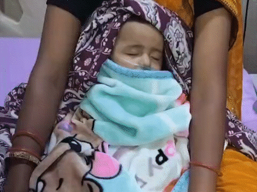 बंदर ने बच्ची को पालने से उठाकर ड्रम में डुबोया:सरगुजा में घर घुसकर मचाया उत्पात, परिवार वालों ने दौड़ाया तो टंकी में छोड़कर भागा