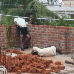 बिलासपुर में करंट लगने से 2 मजदूरों की मौत, VIDEO:11KV हाईटेंशन लाइन से चिपके, निर्माणाधीन मकान में दीवार जोड़ते समय हुआ हादसा