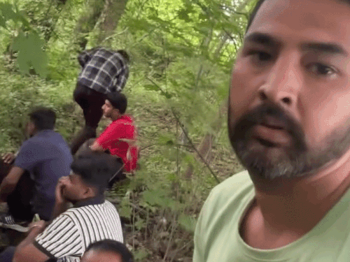 जालंधर के युवक ने बताई रूस की डेंजर जर्नी:फल तोड़ने की नौकरी बता एजेंट ने भेजा, अब जंगल में फंसा, गंदा कमरा, टूटे बैड; 5 VIDEO डाले