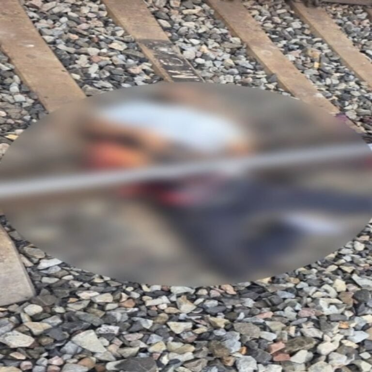 जांजगीर में युवक ने ट्रेन के सामने लेटकर की आत्महत्या:शरीर दो हिस्सों में बंटा, कारण अज्ञात; पुलिस जांच में जुटी